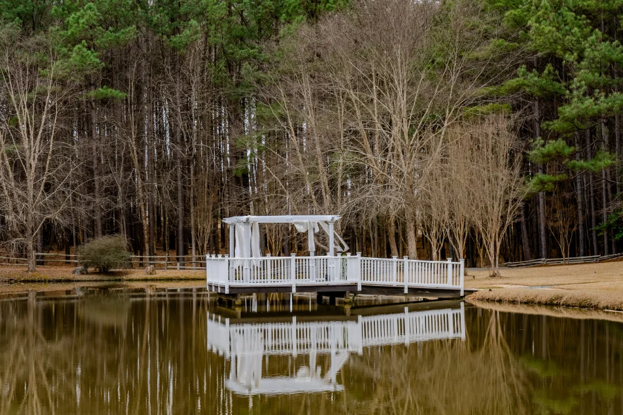 Wilderness Elegance: Forestry Pond Photo Shoots in Timeless Beauty